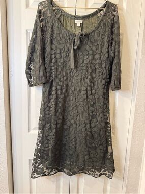 Garnet Hill Dark Green Dress with Lace Overlay